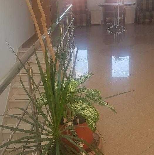 Proprietar inchiriez Vila P+2,din 2012,suprafata 345 mp, DAMAROAIA,S1 - Poză 5