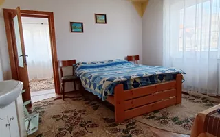 Casa si teren de 12000mp-Simon - Poză 23