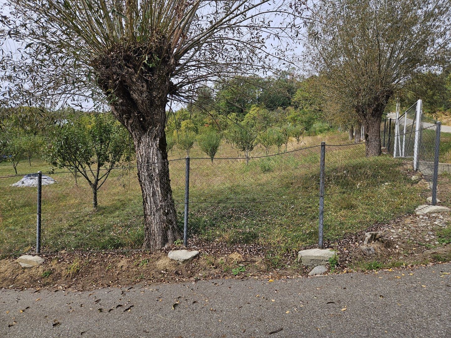 Teren intravilan, utilități, Corbi, Argeș – zonă turistică superbă - Poză 12