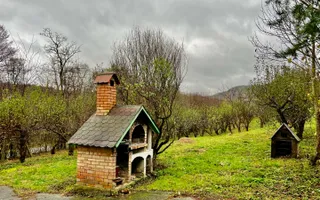 Casa de vanzare  in Talmacel-Teren 4000 mp cu livada+garaj - Poză 17