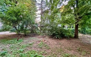 Teren intravilan ***438mp*** / PUD  // Floreasca - Poză 7