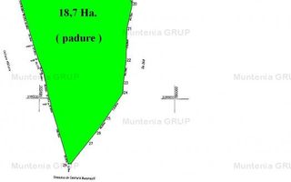 TUNARI - Centura Bucuresti, 16,7 Ha. teren (padure de peste 100 ani) - Poză 5