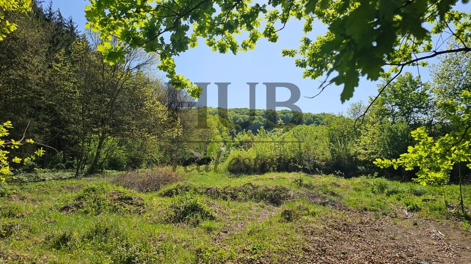 Teren intravilan | langa padure si parau | Luncani/Bacau - Poză 6