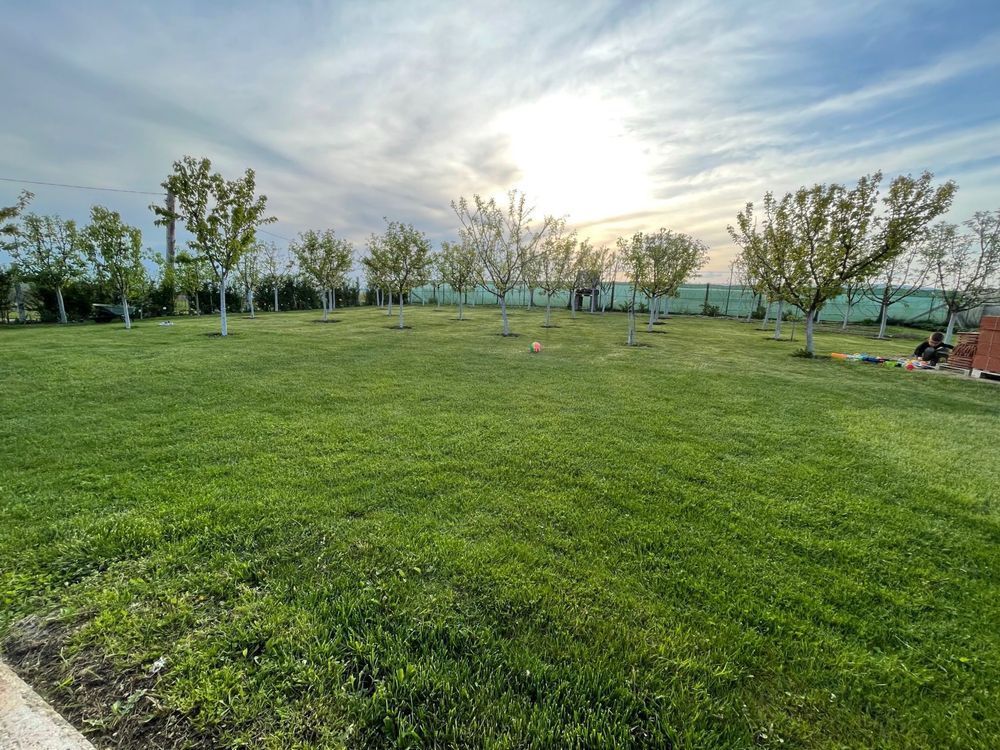 Cabana de lemn, 2 camere, teren 850 mp, livada, Oarda, Alba Iulia - Poză 6