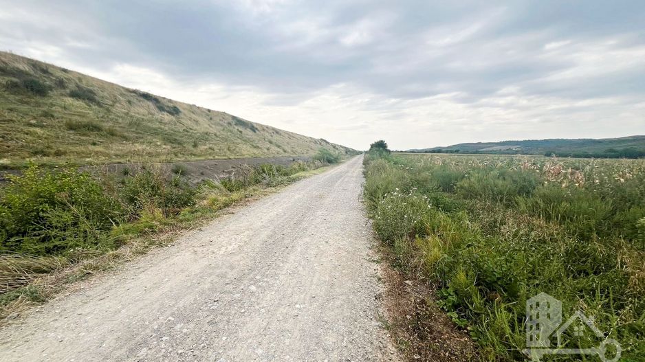 Teren extravilan Lugasu de jos, Bihor - Poză 4