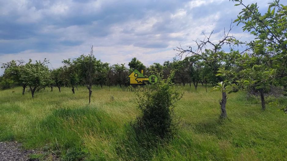 teren intravilan in sag 1271 mp - Poză 4