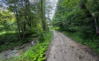 18000 mp de natura pura ,Lupeni, langa Straja - Poză 32