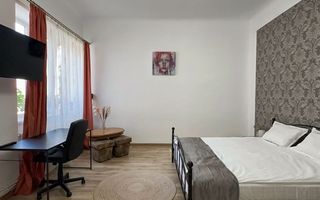 1 camera, Central, Mihai Viteazu, Pet Friendly, Baritiu, UBB, Cetatuia - Poză 2