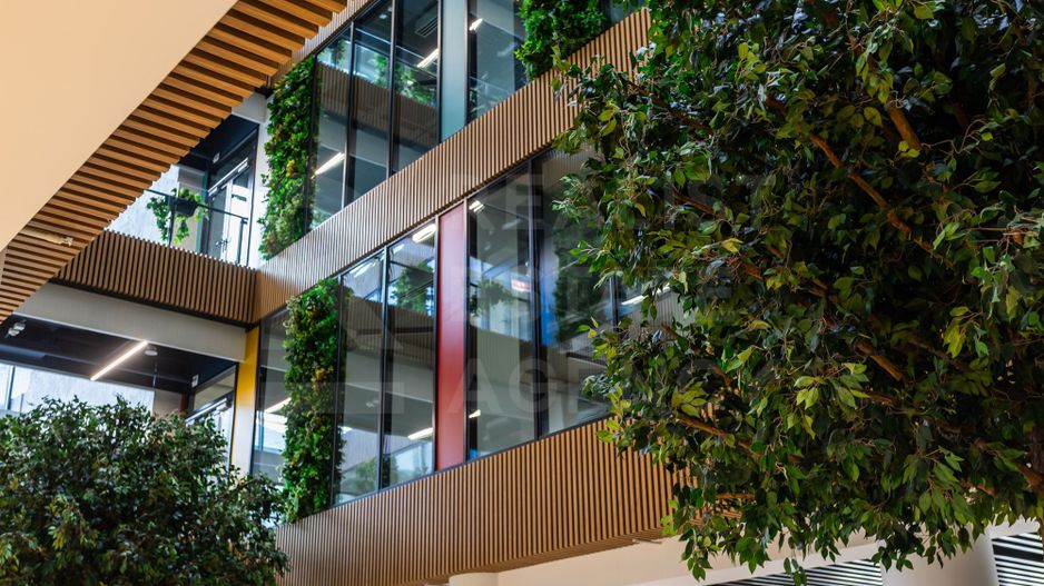 Chirie, oficiu premium, 280 mp, strada 31 August 1989, Centru - Poză 35