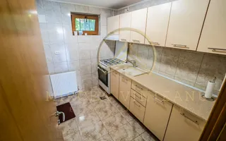 Palazu Mare / Elvila -  Vanzare Vila  D+P+1E cu teren de 996 mp - Poză 57