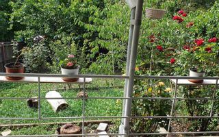 teren de vanzare 807 mp - Poză 7