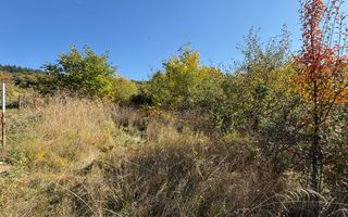 Teren intravilan Făget | 1.490 mp | Front 15 ml | Toate utilitățile - Poză 6