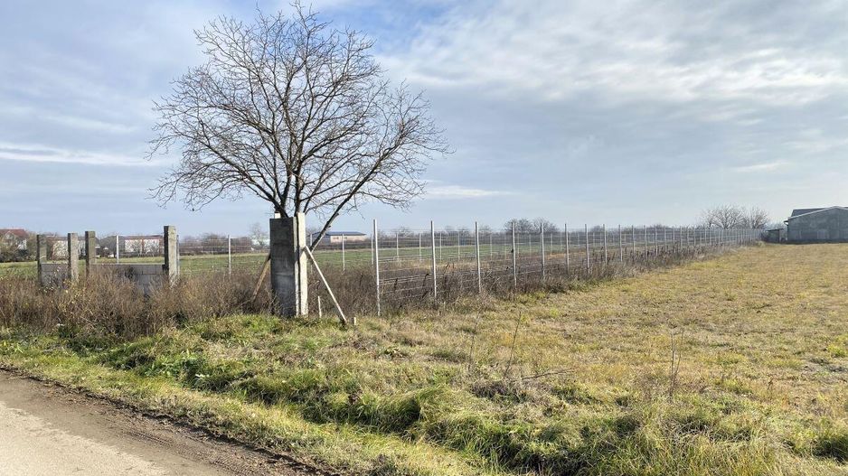 Afumati - Str. Iasomiei, 2409 MP, stradal, intravilan, deschidere 12 m - Poză 5