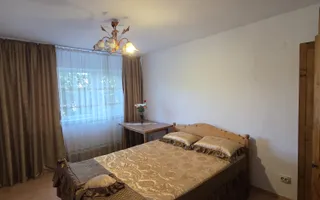 Casă / Vilă cu 8 camere de vânzare în Lapus, Craiova - Poză 16