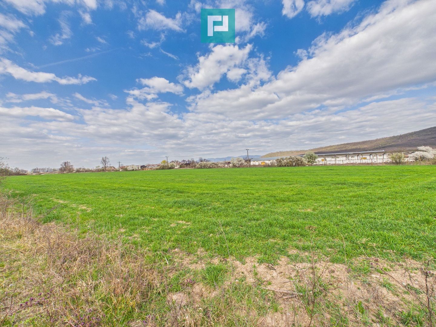 Teren extravilan, 1 ha, în orașul Sebiș, Arad - Poză 2