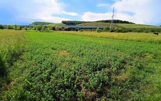 Teren intravilan | 680 mp | in Cristian langa Sibiu - Poză 1