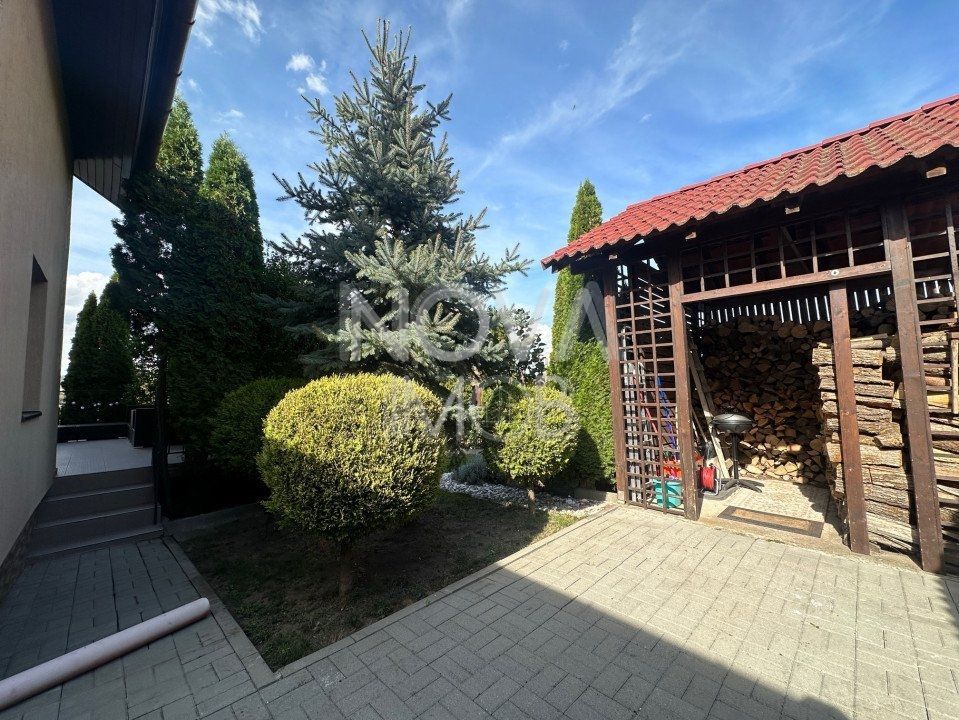 Casa individuala de vanzare - Sura Mare - Poză 3