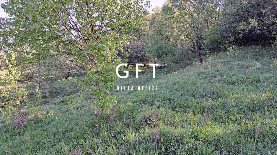 Teren extravilan de vanzare, Bistrita Bargaului- 10 minute de Colibita - Poză 17