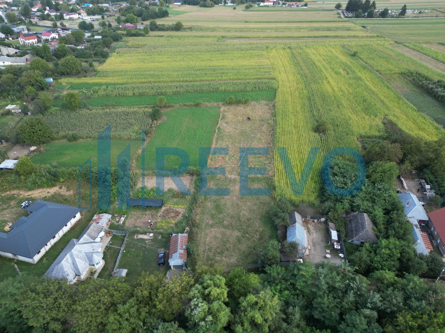 Teren intravilan 4.000 mp Blăgești, Bacău - Poză 2