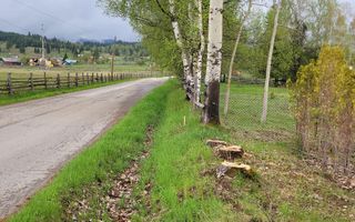 Teren Saru Dornei / Neagra Sarului - oportunitate investitie - Poză 1