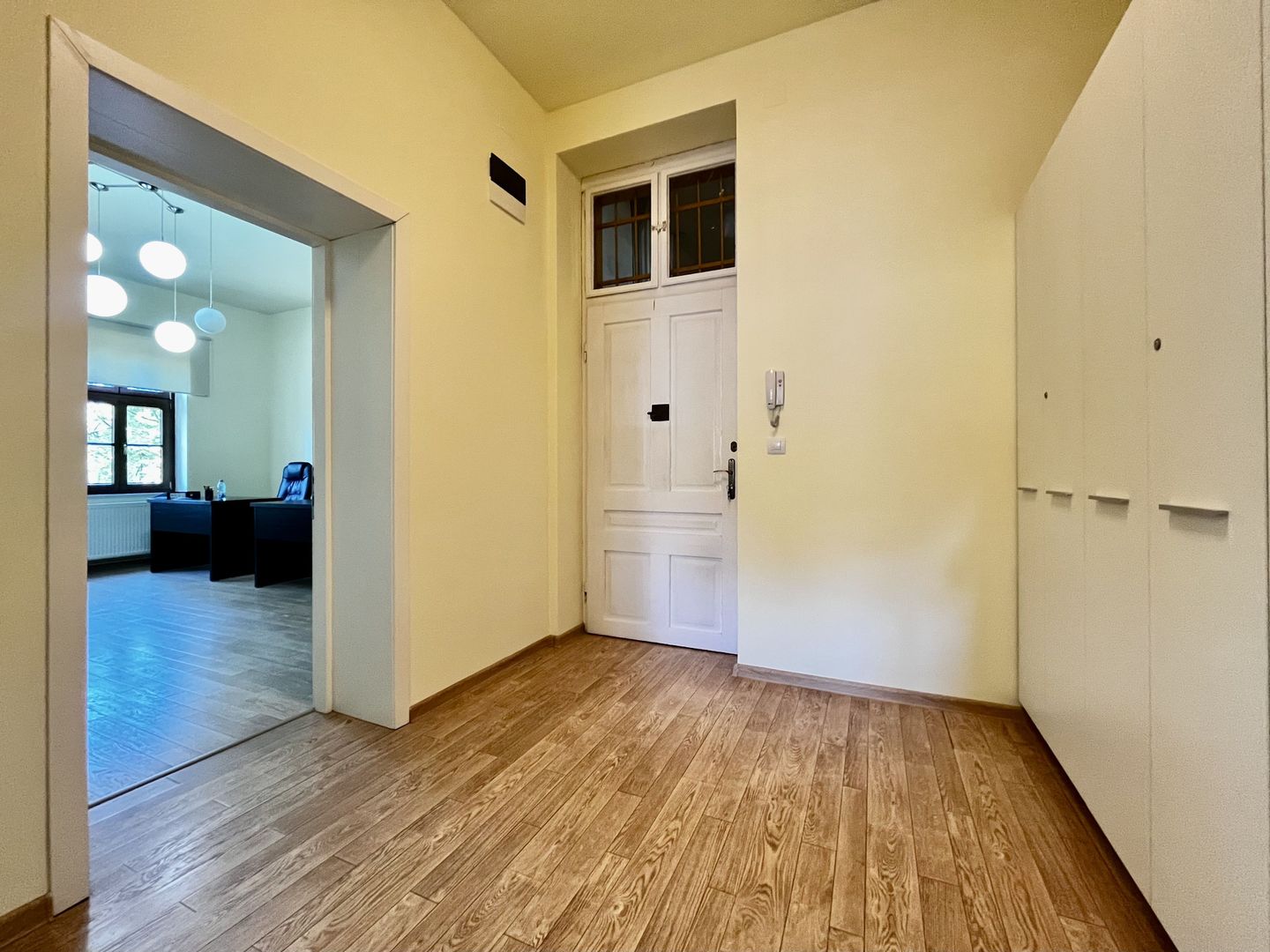 Apartament pretabil birou sau investiție, Central - Take Ionescu - Poză 16