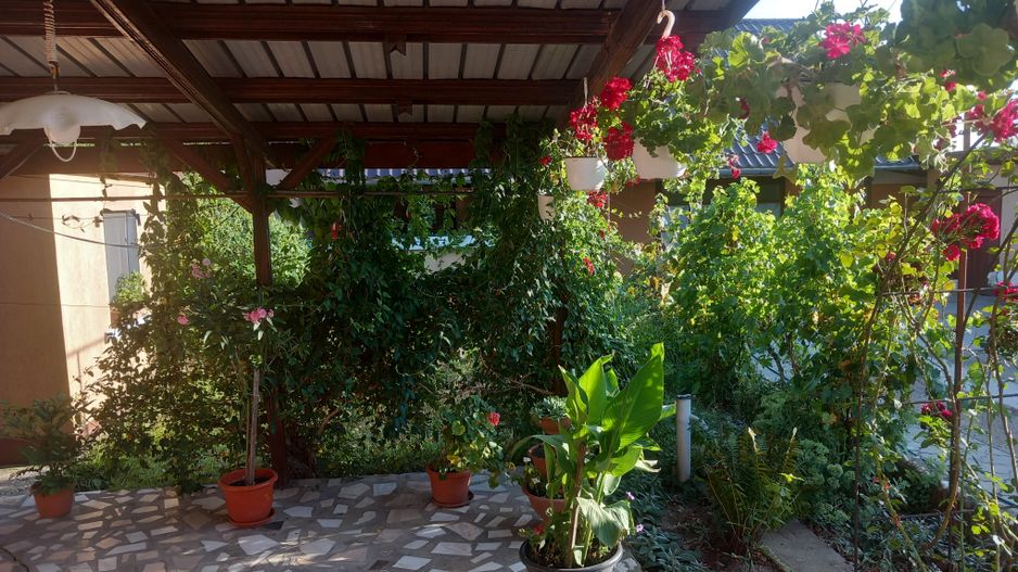 Ag EUROPA vinde casa NOUA individuala în Madaras 4 cam 7 ari 175mp. - Poză 34