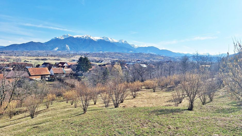 Comision 0%! Teren superb de 17000mp la 5 min de Castelul Bran, 13 euro/mp - Poză 11