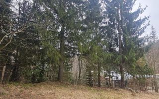 Cu 4.200mp teren, Vila cu potential turistic, in inima Predealului - Poză 6