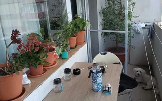 Apartament 3 camere Aradului 2 bai 2 balcoane centrala proprie - Poză 22