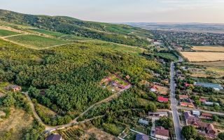 Teren pe deal, 1.150 mp, în Miniș, front 26 m, Drumul Vinului - Poză 4