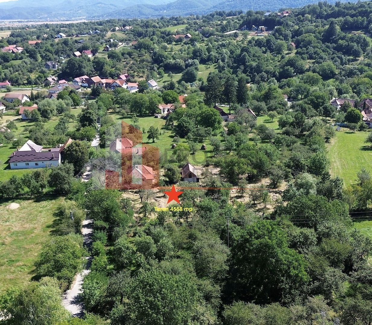 Teren 4558 mp cu casă tradițională, Sohodol, Bran - Poză 3