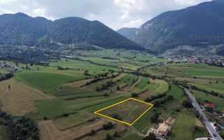 Teren de Vanzare Zarnesti | Utilitati | 3.698mp - Poză 3