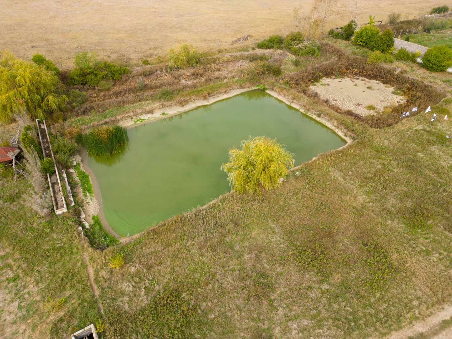 Teren intravilan cu iazuri și casă - Chișineu-Criș - Poză 31