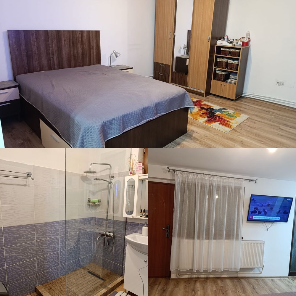 Casa  P+1 - Sat Costi - Poză 7