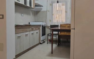 Apartament 2 camere de închiriat pe termen lung în Nicolina, Iași - Poză 3