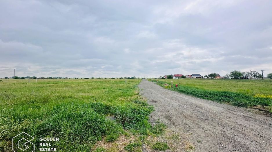 Terenuri cu utilitati, intrare Livada - Poză 2