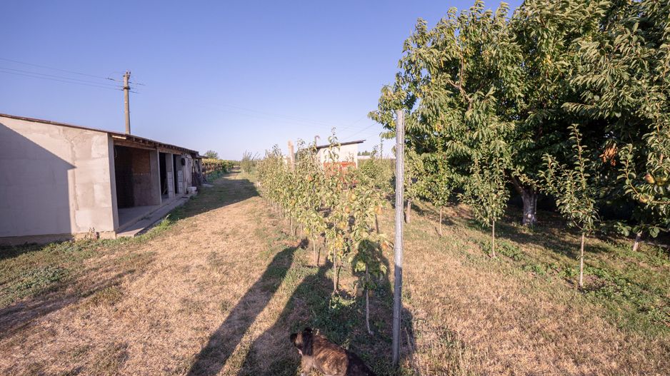 Casă de vânzare Furceni – 7 camere, teren 8.000 m - Poză 31