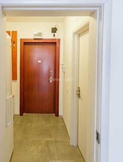 Garsonieră de inchiriat complet mobilata si utilata, Piata Veteranilor - Poză 6