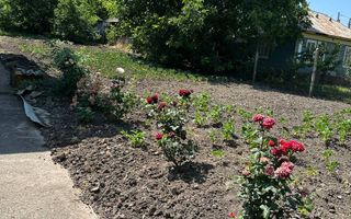 Vânzare 2 case pe un teritoriu, situată pe satul. Marandeni. - Poză 23