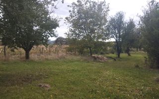 Teren intravilan 1500 mp-ideal casa-Mijlocenii Bargaului - Poză 2