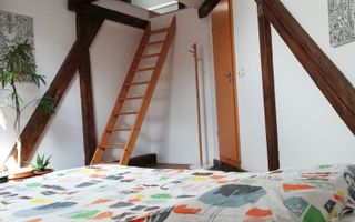 Apartament 4 camere | 175 mp | Bulevardul Victor Babeș | Ideal pentru - Poză 4