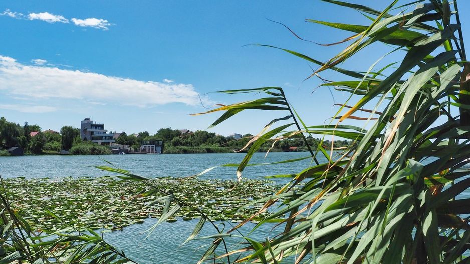 Vila 6 camere-teren 1800mp-Snagov Izvorani-lac - Poză 6