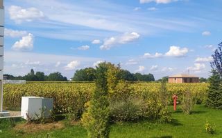 TEREN || 12.500 mp || Tunari - Poză 1