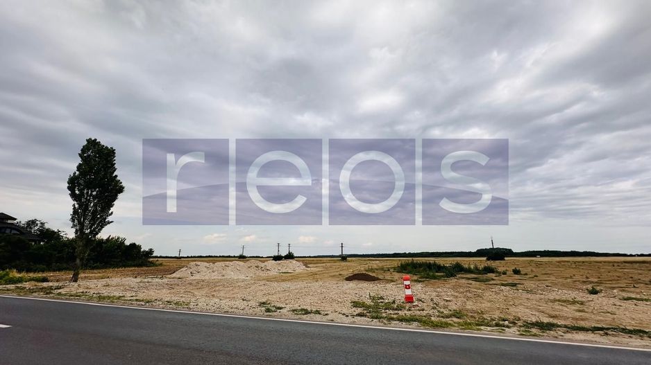 TEREN DE VANZARE CREVEDIA-COCANI 10.000 MP DESCHIDERE 70 - Poză 6