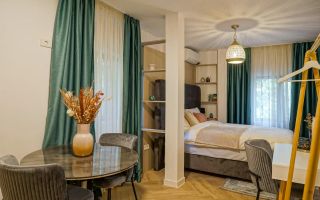 Proprietate ideala pentru investitie *354mp* inchirata pe 6 ani // Cismigiu - Poză 30