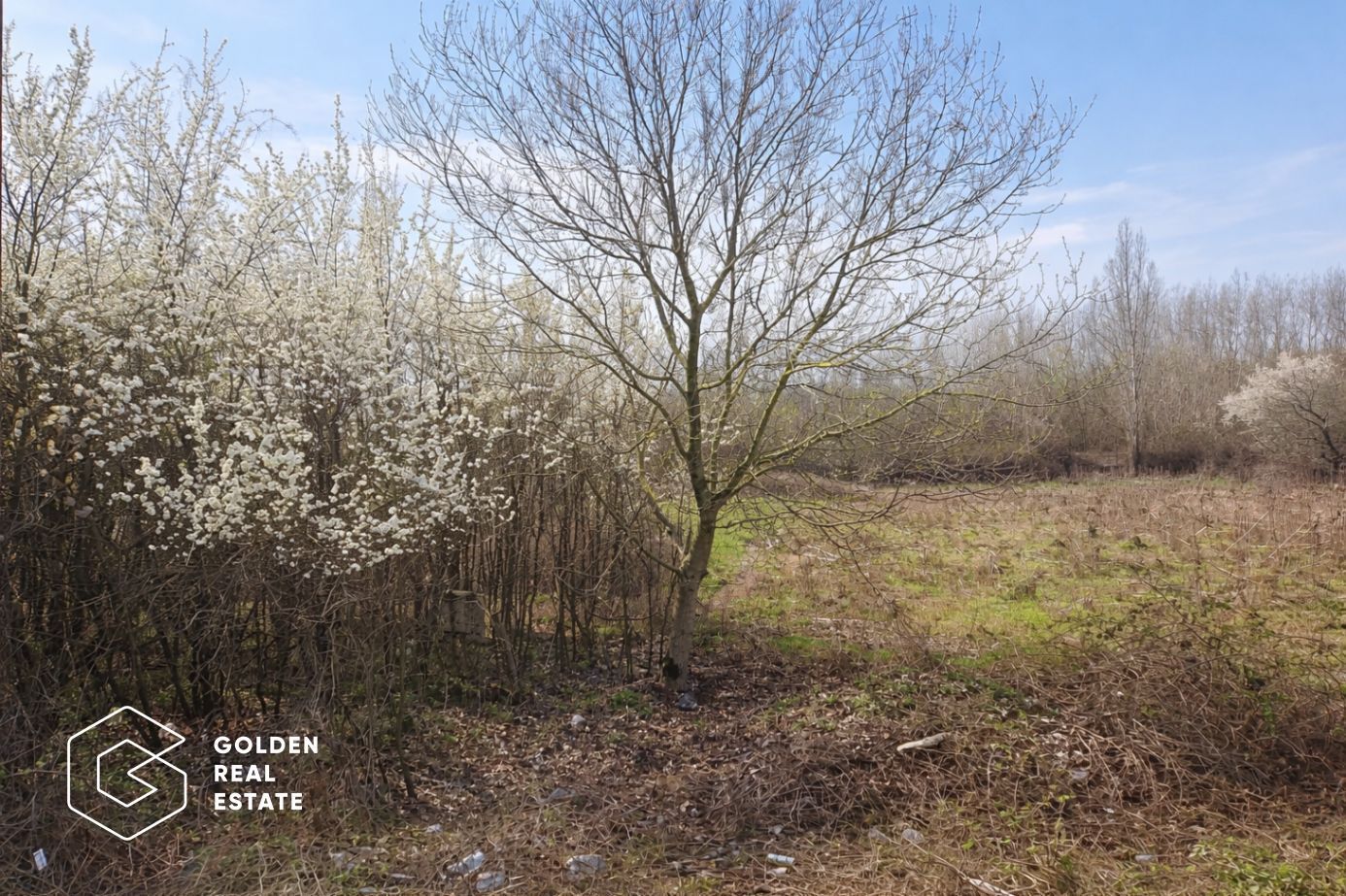 Teren intravilan, 1080 mp, Lipova - Poză 4