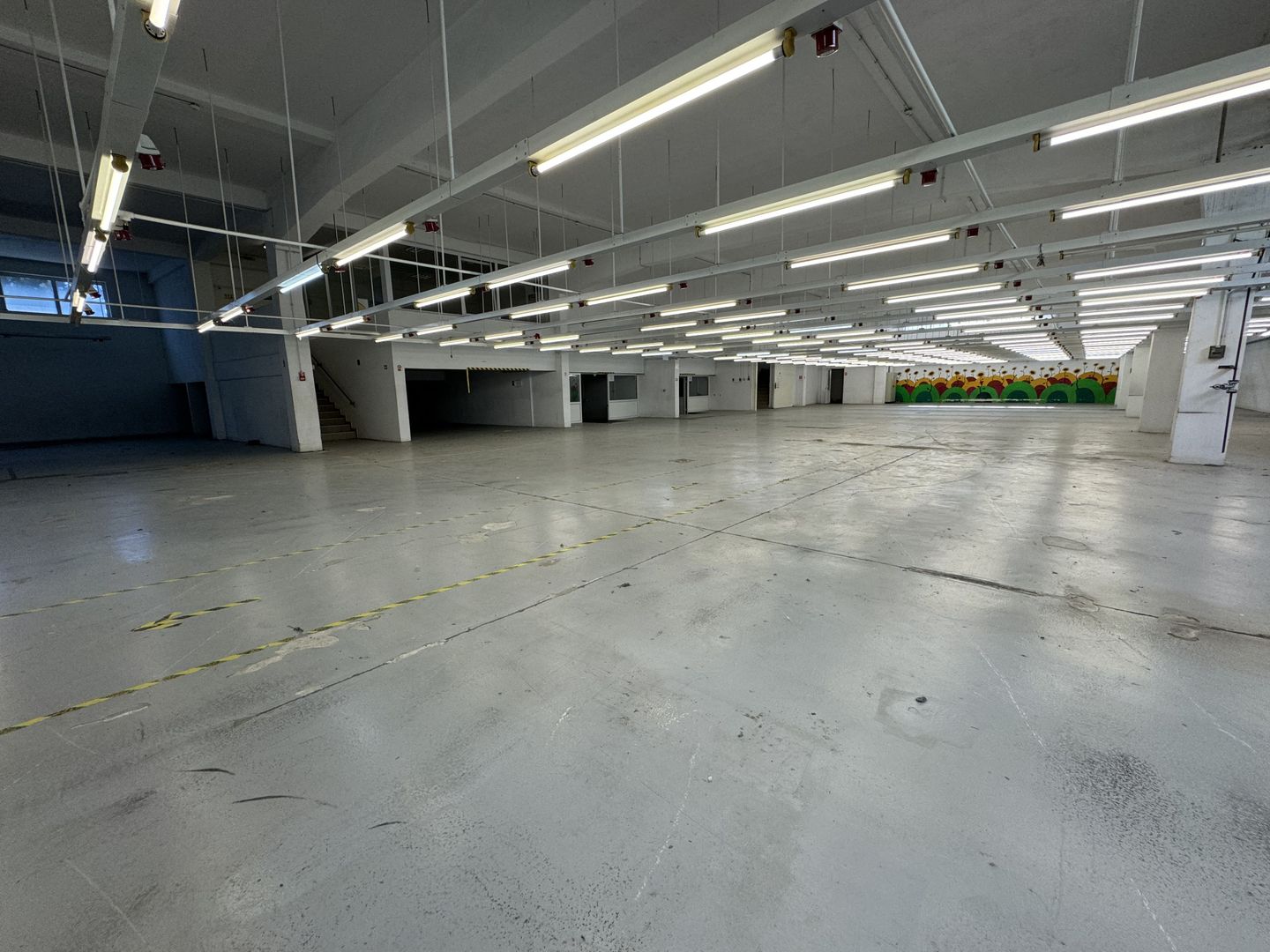 Hala productie P+1 si apartament de serviciu Navodari - c-tie beton - Poză 7