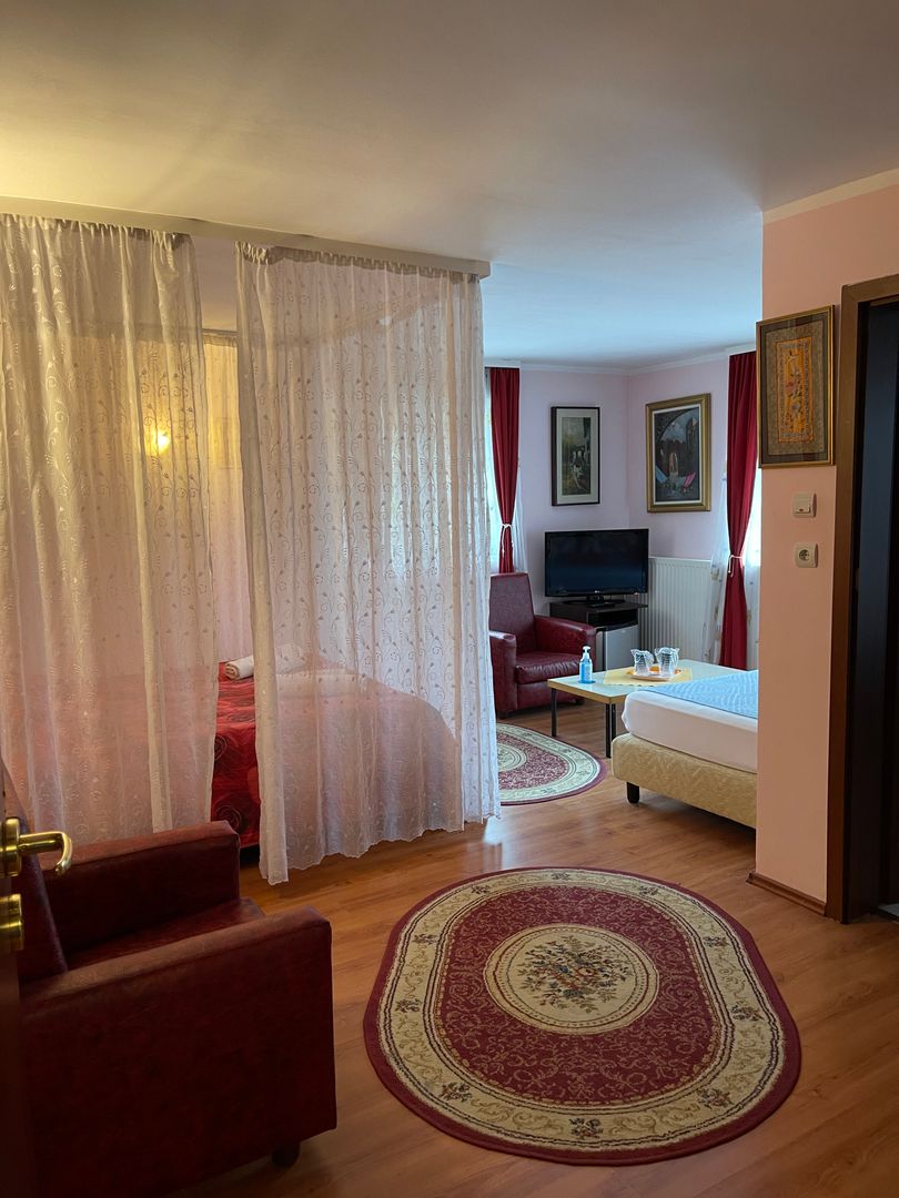Proprietate in incantarea naturii, oportunitate investitie/rezidential, Predeal - Poză 41
