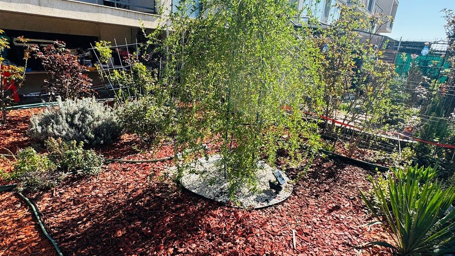 Metrou Berceni -Biruintei-Popesti Leordeni 2 camere-curte - Poză 1