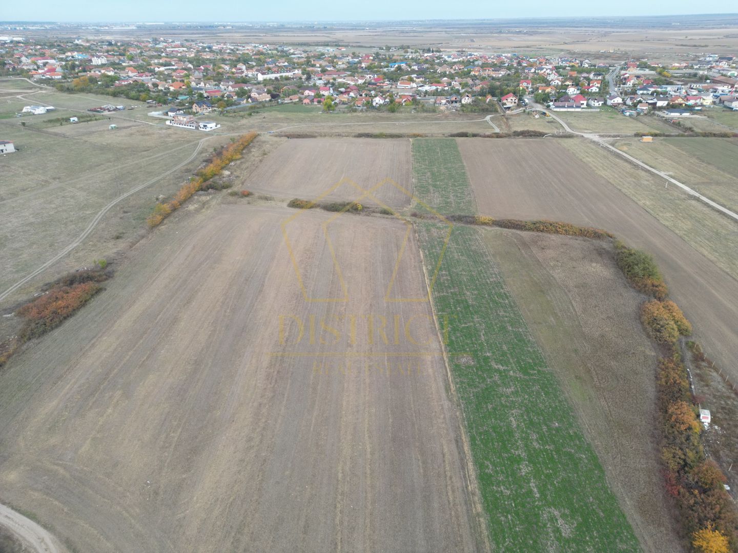 Teren arabil Intravilan 11600mp | LmP | Remetea Mare | COM 0% - Poză 3